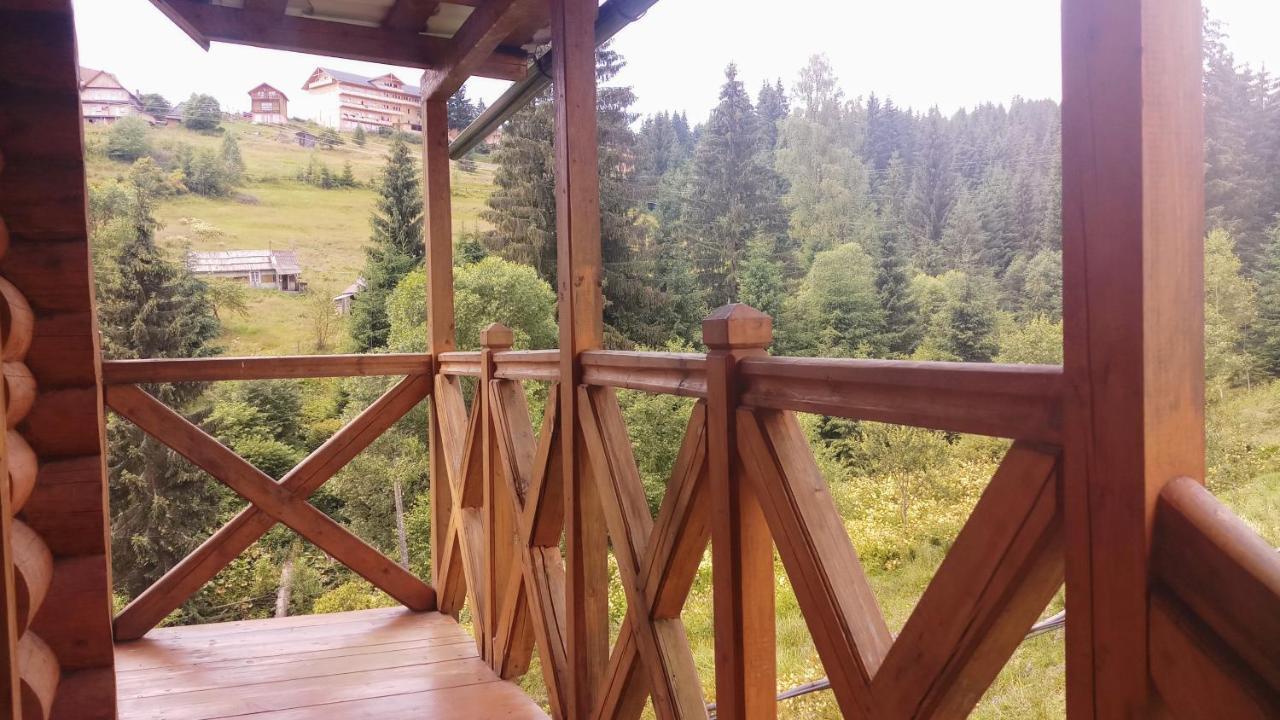 "Лісова Ягода" Яблуниця Екстер'єр фото